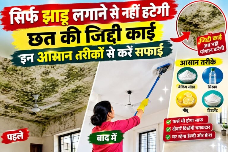 WhatsApp Image 2026-09-17 at 9.40.18 AM
