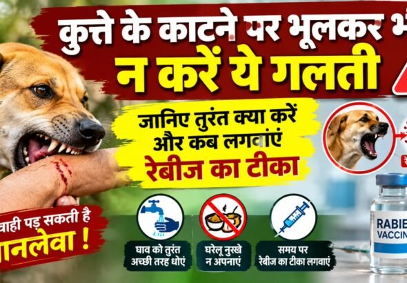 WhatsApp Image 2026-09-20 at 9.37.29 AM