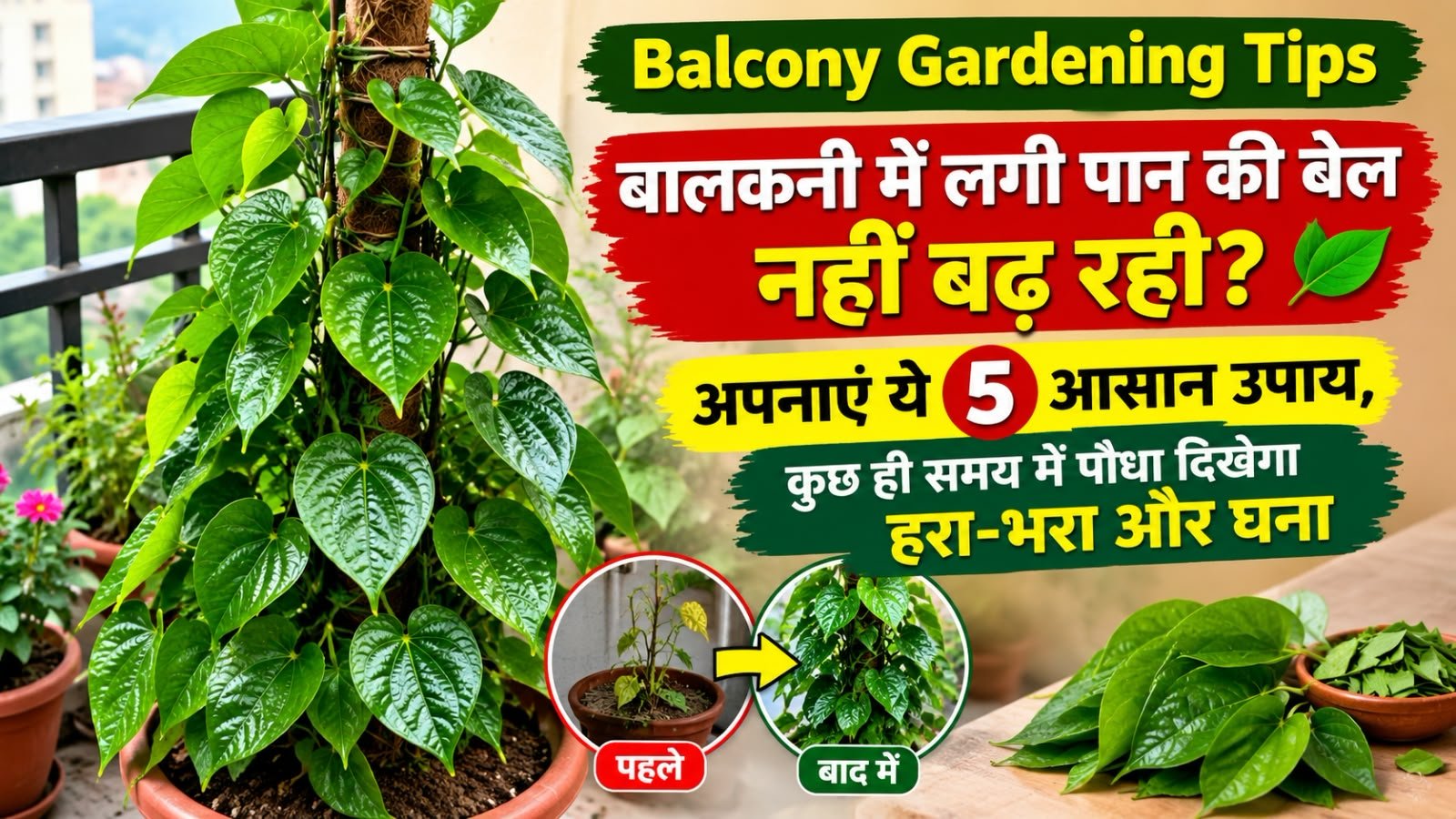 WhatsApp Image 2026-09-24 at 9.26.00 AM