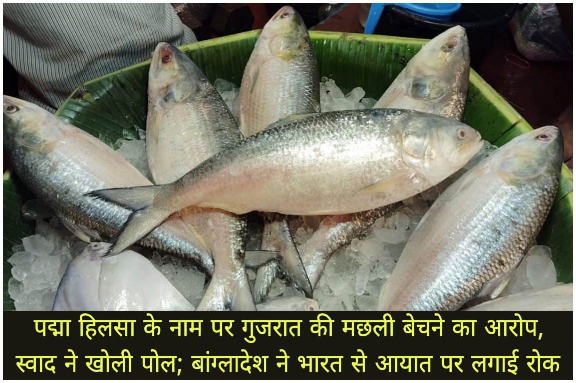 WhatsApp Image 2026-09-28 at 3.48.00 PM