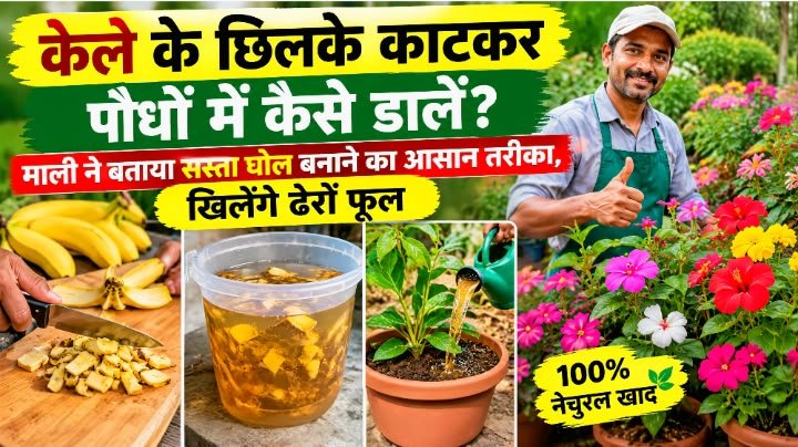 WhatsApp Image 2026-09-29 at 11.11.57 AM