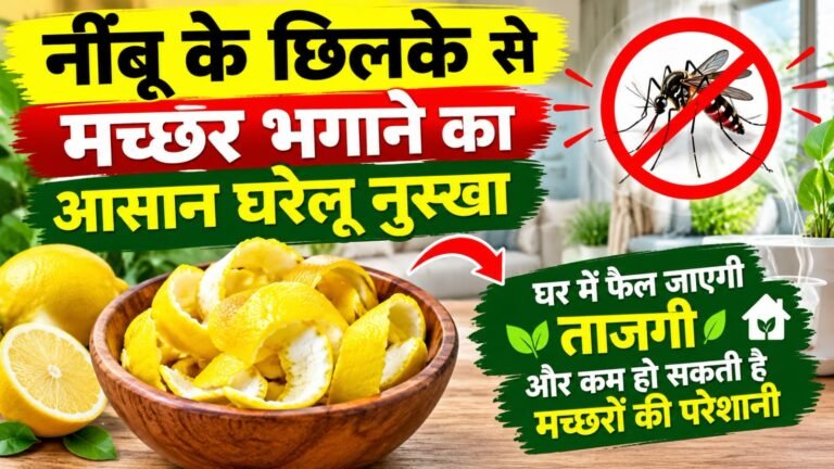 WhatsApp Image 2026-10-01 at 10.15.55 AM