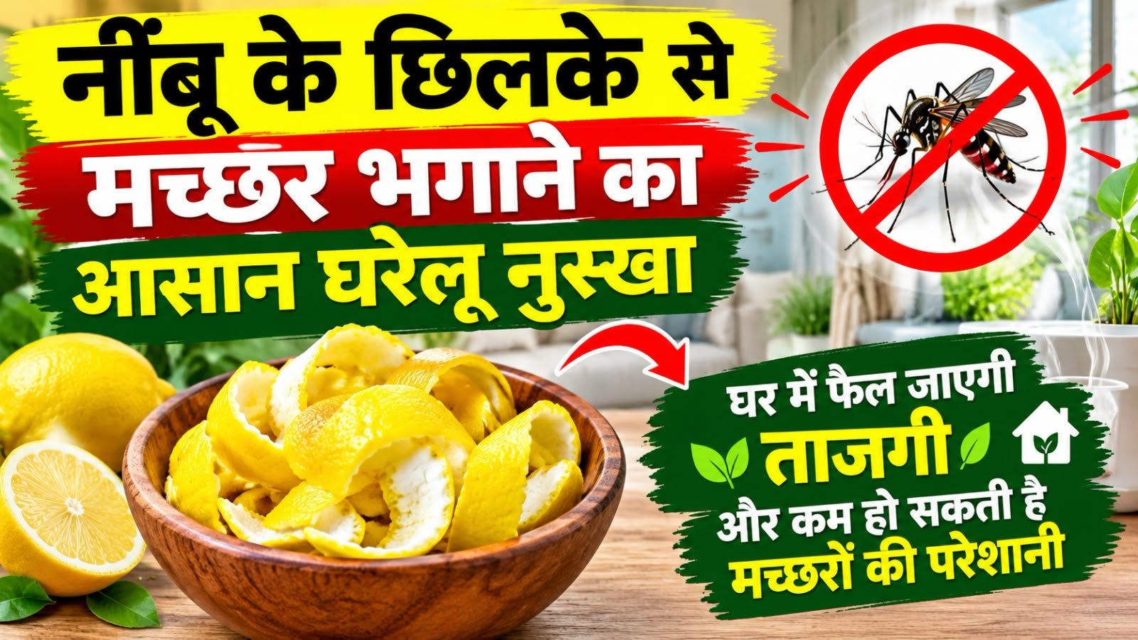 WhatsApp Image 2026-10-01 at 10.15.55 AM