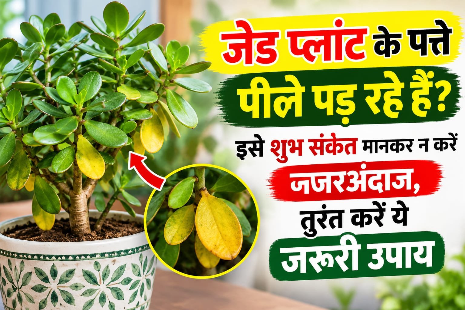 WhatsApp Image 2026-10-05 at 10.03.24 AM