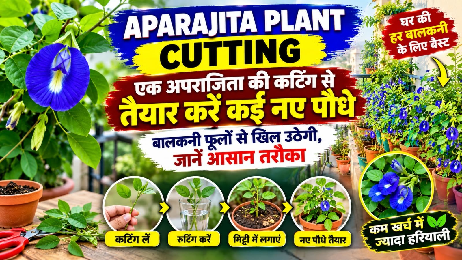 WhatsApp Image 2026-10-08 at 9.27.00 AM