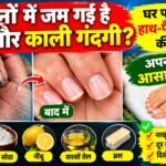 WhatsApp Image 2026-10-12 at 9.25.33 AM