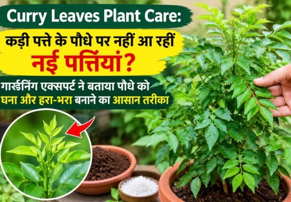 WhatsApp Image 2026-10-14 at 1.58.52 PM