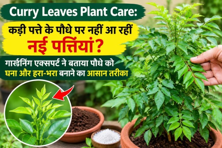 WhatsApp Image 2026-10-14 at 1.58.52 PM