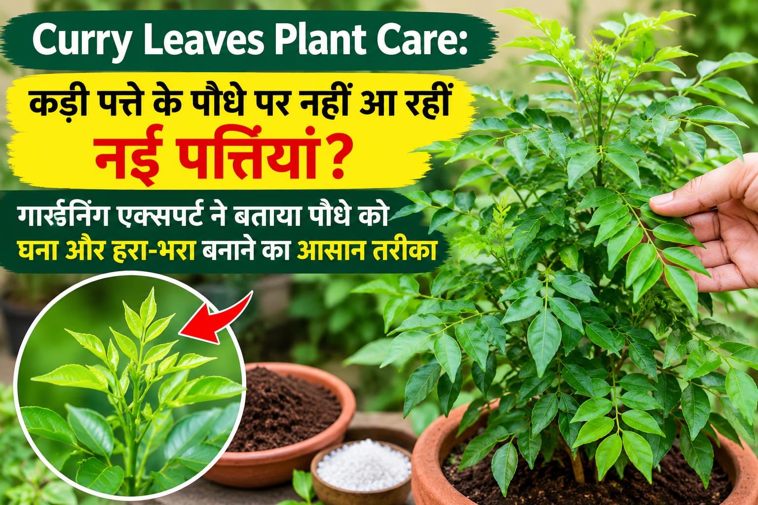 WhatsApp Image 2026-10-14 at 1.58.52 PM