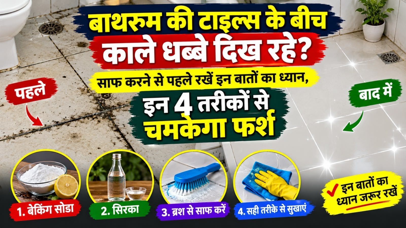 WhatsApp Image 2026-10-15 at 10.00.37 AM
