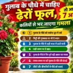 WhatsApp Image 2026-10-18 at 10.34.35 AM