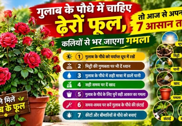 WhatsApp Image 2026-10-18 at 10.34.35 AM