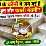WhatsApp Image 2026-10-19 at 8.52.49 AM