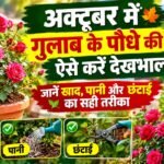 WhatsApp Image 2026-10-23 at 10.07.53 AM