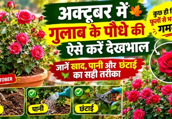 WhatsApp Image 2026-10-23 at 10.07.53 AM