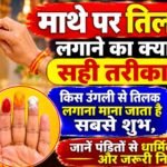 WhatsApp Image 2026-10-31 at 9.46.51 AM