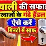 WhatsApp Image 2026-10-31 at 9.51.44 AM